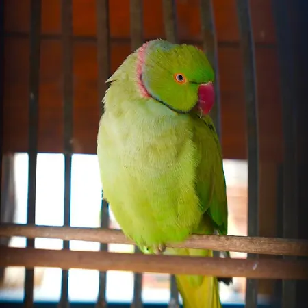 The Wind Mills Hydropark Resort