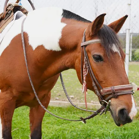 The Wind Mills Hydropark Resort 4*