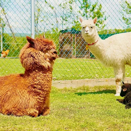 The Wind Mills Hydropark Üdülőközpont Gorna Malina