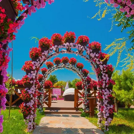 אתר נופש The Wind Mills Hydropark 4*