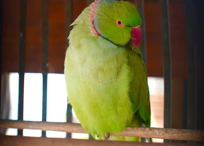 The Wind Mills Hydropark Station touristique
