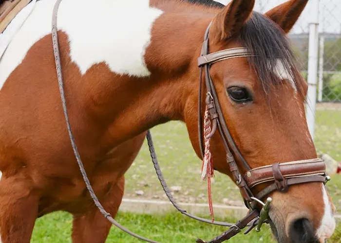 The Wind Mills Hydropark Station touristique 4*