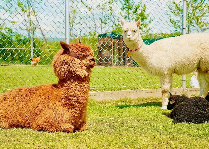 The Wind Mills Hydropark Resort Gorna Malina